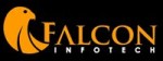 Falcon Infotech